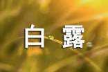 白露节气有什么水果植物