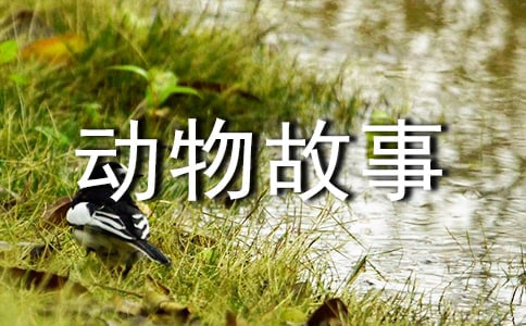 写动物故事的作文大全【4篇】