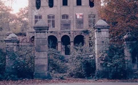 �μ�������ʲô��˼