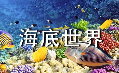 梦见海底世界
