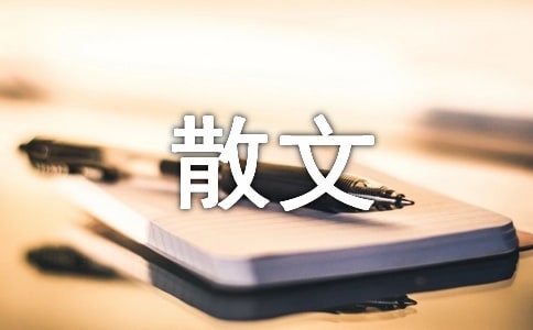品味时尚散文