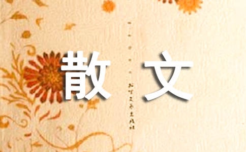 你又能多懂时尚散文随笔