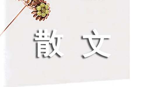 盛夏的风吹不干脸上的泪痕散文