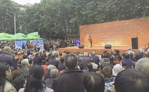 乡镇文艺演出领导讲话稿