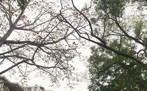 �����簲��¼��ȫ80�侫ѡ