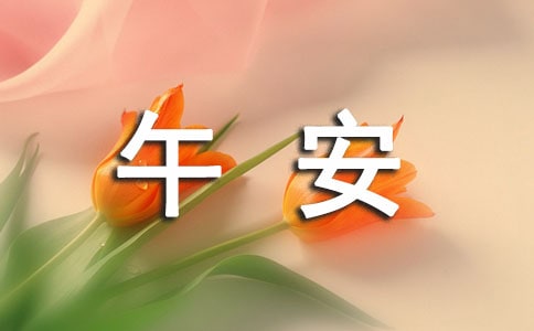 ��ʵ�á����������簲��¼���65��