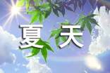 龟背竹夏天可以换盆吗