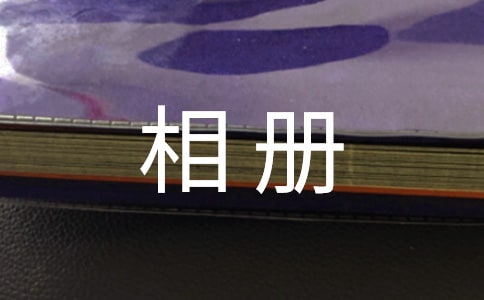 相册里的故事作文