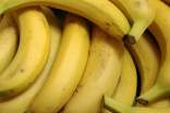 怀孕的时候可不可以吃香蕉