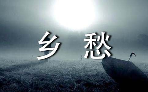 《皮肤上的乡愁》阅读答案