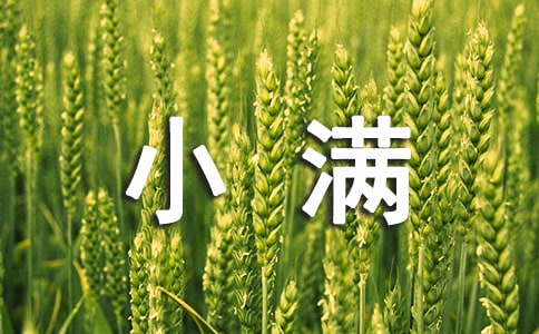С����¼30�侫ѡ