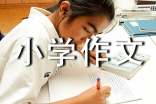 宝贝玉手镯小学作文