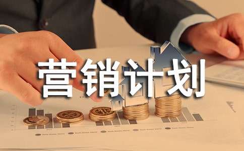 面膜营销计划书