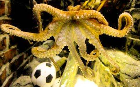 �и��ܳ�����С������