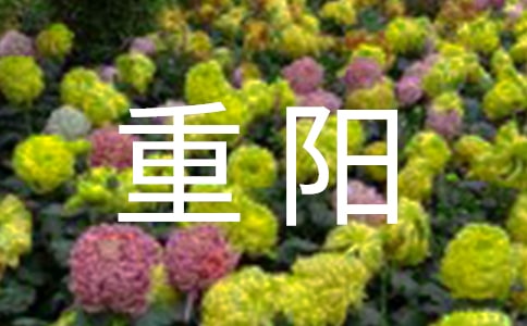重阳佳节领导讲话稿(精选6篇)