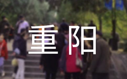 �ž������ѽ��쵼�����壨ͨ��13ƪ��