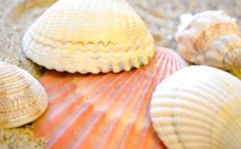 �μ����ǻ��