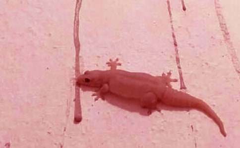 �����μ��ڻ�