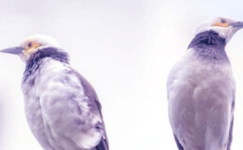 �μ��볤������