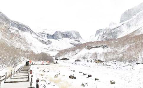 Ԥ�����������Լ����̰���ͨ��6ƪ��