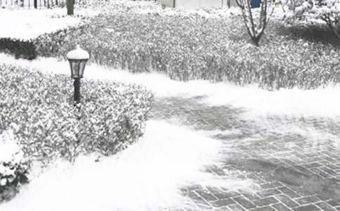 Ԥ���������в���ȫ�̰����ģ���ѡ7ƪ��