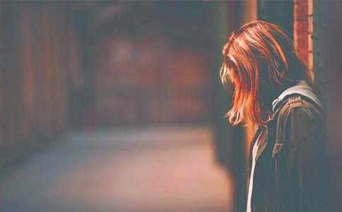 2026�꾫ѡ���ֵ���¼ժ¼80��