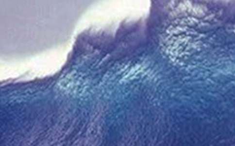 �μ���Х���Լ���û