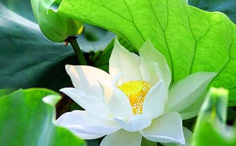 �μ��ɻ���������