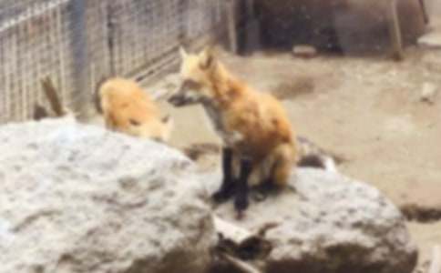 �μ���������