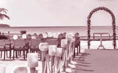 ����߻����ȣ�