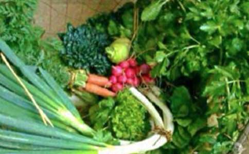 健康作文400字9篇(精)