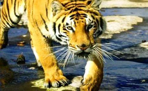 �μ���������ϻ�