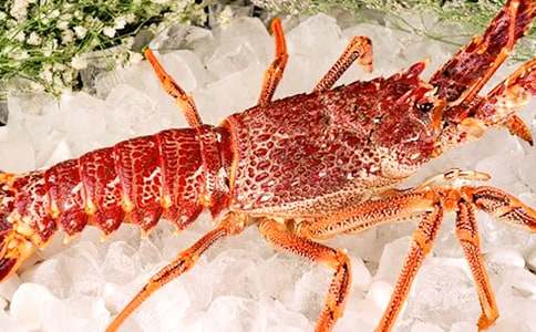 �μ���Ϻҧ�Լ�