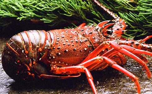 [����]�μ���Ϻ