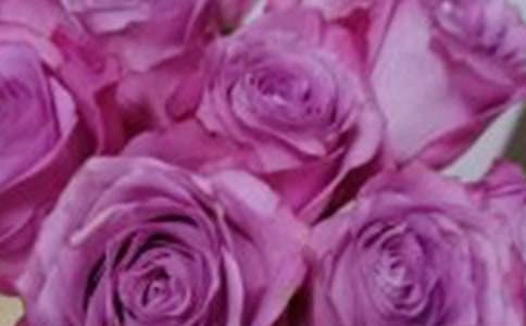 梦见玫瑰花死了