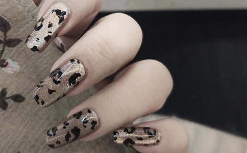 ���״������������4ƪ