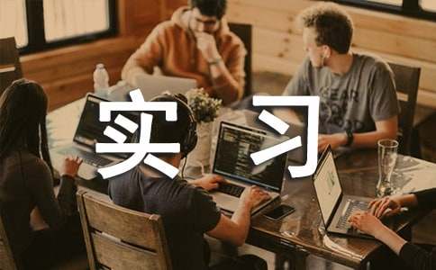 ����ʵϰ�ܽ�