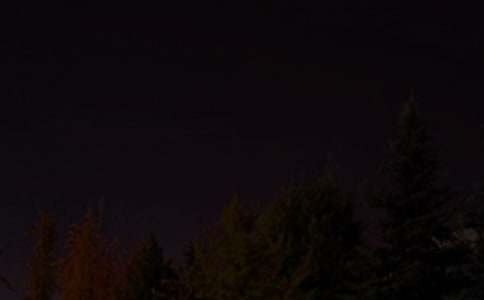 �����š�ÿ��һ������������¼43��