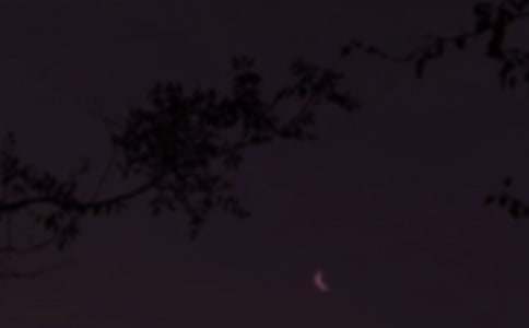 ͨ��������¼����43��