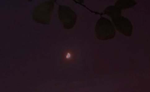 ��������������¼����99��