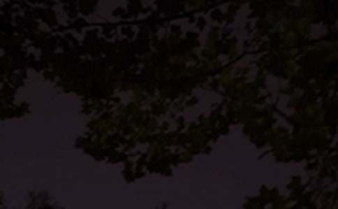 2025�꾭��������������¼��ϼ�75��