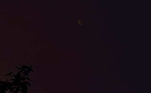 �򵥵�����������¼ժ¼31��