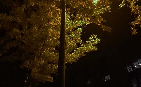 �����š�Ψ��������������¼44��