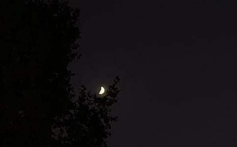 关于个性晚安语录汇总75句精选