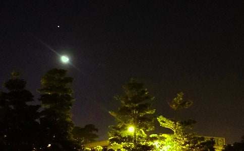 【热门】治愈系晚安心语语录24句