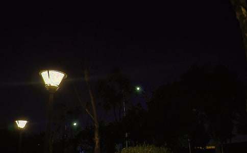 2025�꾭����������������¼����79��