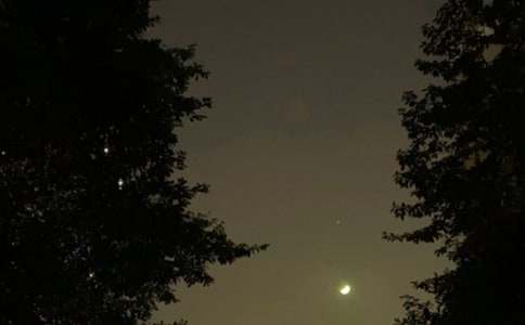 2026年简洁的晚安心语语录大集合55条