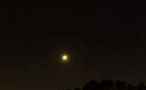 ��ѡ������������¼50��