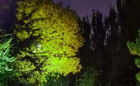 �Ƽ�ů��������¼����ѡ105�䣩