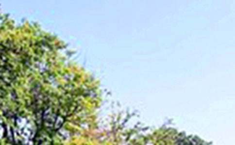 ����Ψ���簲��¼����70��